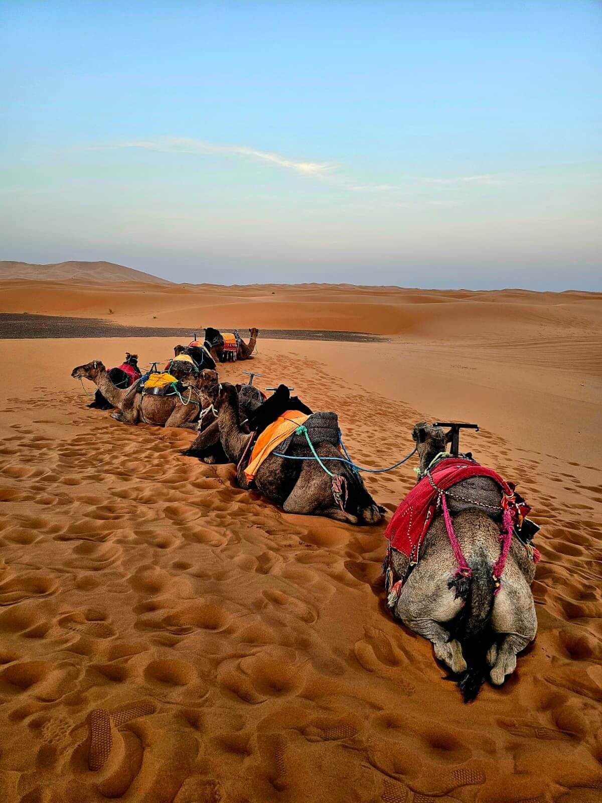 Merzouga 2025 - Final celebration